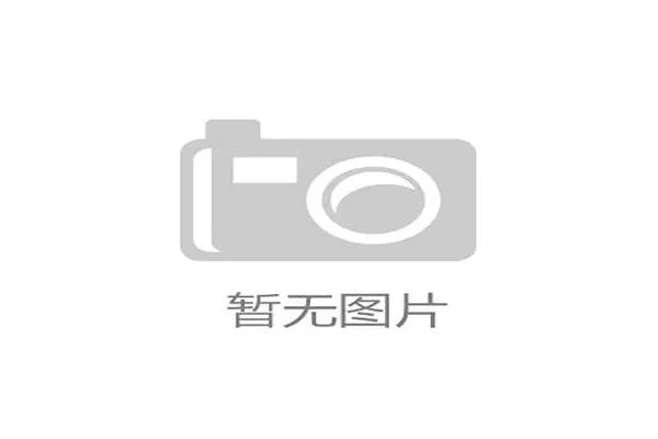 德甲推青年裁判培养计划五年内职业裁判数量力争实现五成增长
